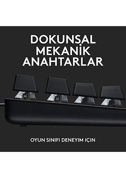G G413 Se Tkl Kablolu Oyuncu Klavyesi, Dokunsal Mekanik Anahtarlar, Arkadan Aydınlatmalı, Windows, Macos ile Uyumlu, Siyah