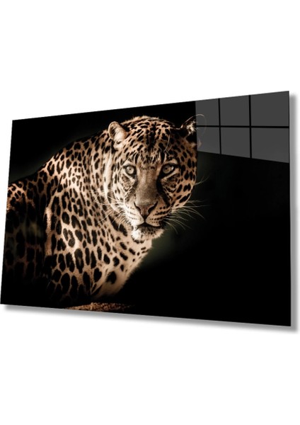 Leopar Hayvan Portresi Cam Tablo, Ev ve Ofis Duvar Dekoru, Hediyelik Büyük Temperli 4 mm Cam Tablo