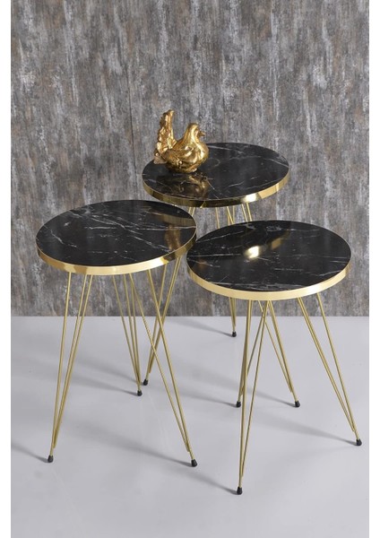 Zigon Sehpa Gold Bendir Tel