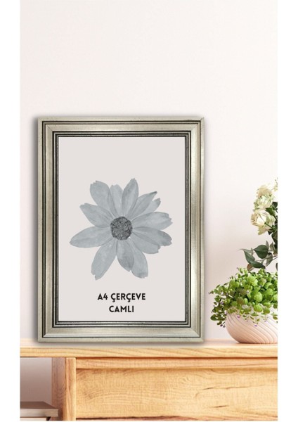 Standart A4 Çerçeve 21,0 x 29,7 cm Iç Ölçü. Camlı Dekoratif Çerçeve