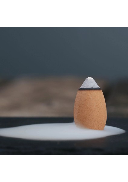 Hindistan Cevizi Akış Tütsüsü, Doğal Aromaterapi, 1 Kutu 10 Adet Tütsü, Oda Kokusu, Coconut Back Flow Incense modelleri