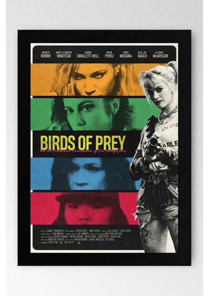 Harley Quinn Çerçeveli Tablo - Film Posteri Tablo