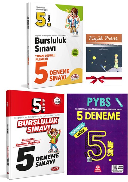2025 Örnek Data 5.Sınıf Bursluluk Sınavı Deneme Seti