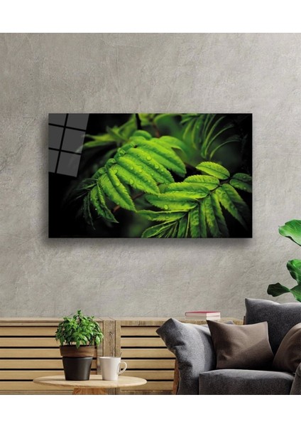 Su Damlası Yeşil Yapraklar Cam Tablo, Ev ve Ofis Duvar Dekoru Hediyelik Büyük Tablo Dayanıklı Cam fiyatları