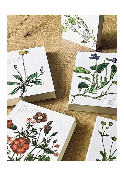 Tanıtım Özel Tasarım Kapaklı A5 Çizgisiz Defter - 180 Derece Açılabilir, Sırtı DIKIŞLI,%100 El Işçiliği, Ofis Için Ideal, Planlayıcı (Cranesbill And Geranium Kapak Tasarımı) fiyatları