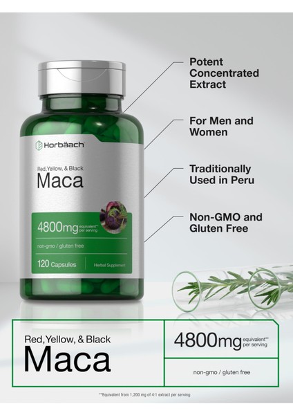 Horbäach Maca Root Matcha 4800MG | 120 Capsules