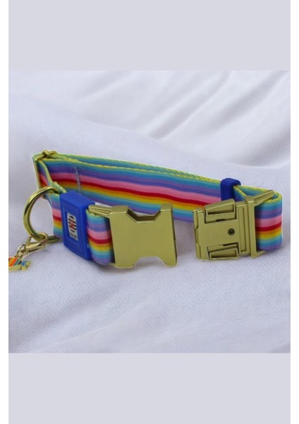 Isimli Köpek Tasması, Orta ve Büyük Irk, Metal Kilitli, Kişiye Özel Tasma 2,5 cm fiyatları