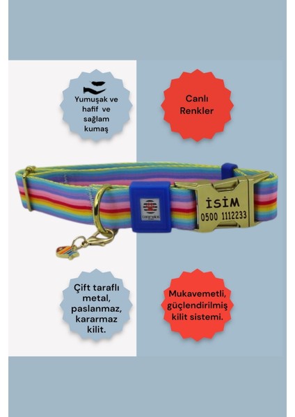 Isimli Köpek Tasması, Orta ve Büyük Irk, Metal Kilitli, Kişiye Özel Tasma 2,5 cm modelleri