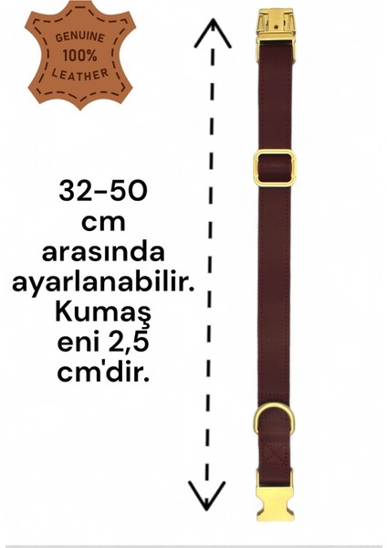 Hakiki Deri Köpek Boyun Tasması, Kişiye Özel Künyeli indirimleri