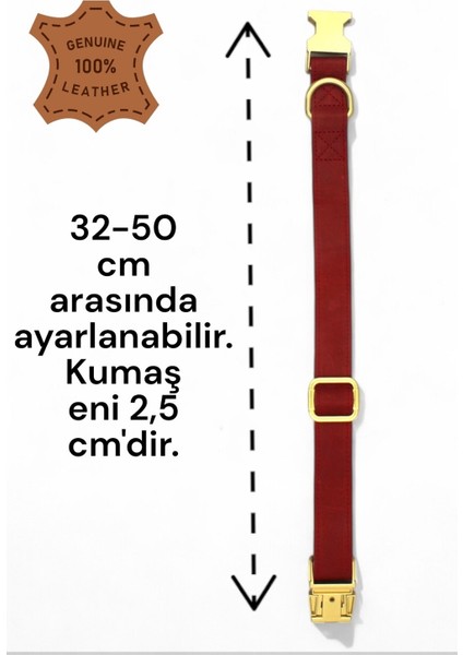 Hakiki Deri Köpek Boyun Tasması, Kişiye Özel Künyeli fırsatları