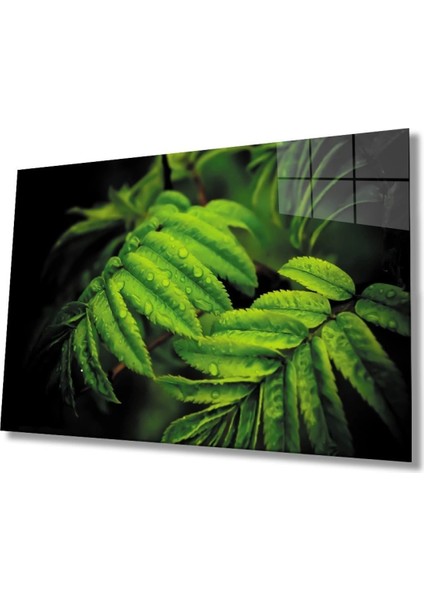 - Su Damlası Yeşil Yapraklar Cam Tablo