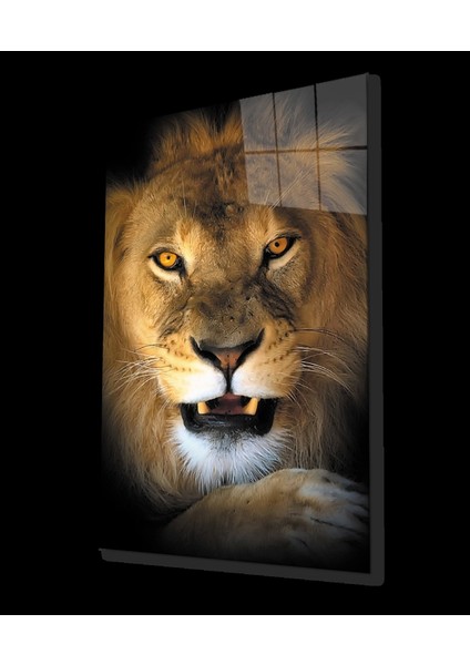 - Aslan Hayvan Cam Tablo