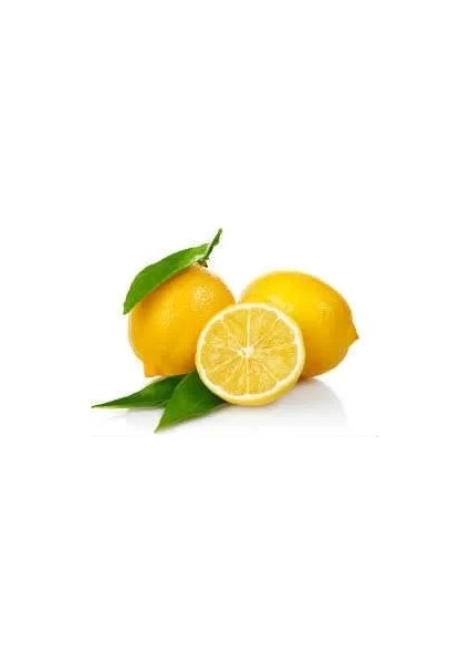 Limon Bonesi / 10 Adet / Bitki Çayı Bonesi