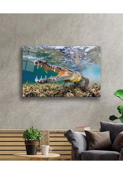 - Timsah Sualtı Cam Tablo fiyatları