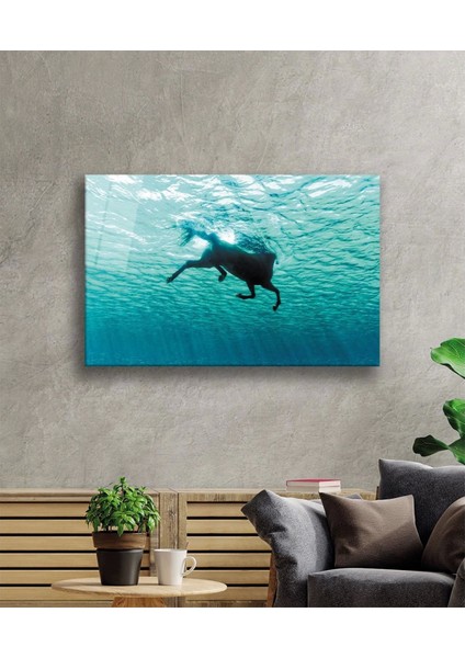 - Yüzen At Sualtı Cam Tablo fiyatları