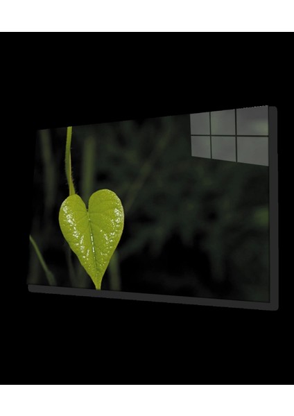 - Yeşil Kalp Yaprak Green Heart Leaf