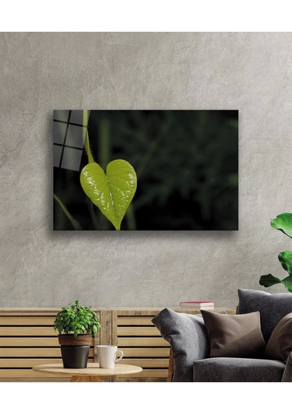 - Yeşil Kalp Yaprak Green Heart Leaf fiyatları