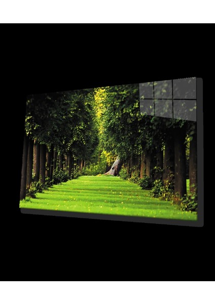 - Manzara Orman Ağaçlar Yeşil Cam Tablo