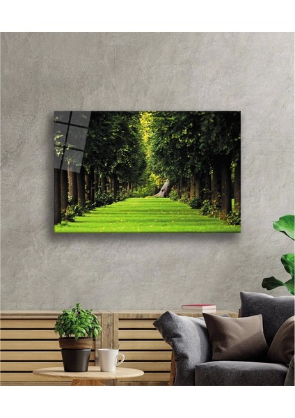 - Manzara Orman Ağaçlar Yeşil Cam Tablo fiyatları