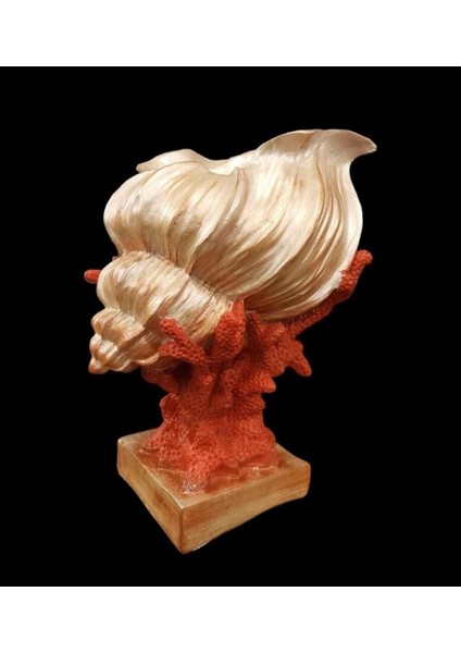 Mercan Vazo, Obje, Ev Dekor, Deniz Kabuğu Vazo