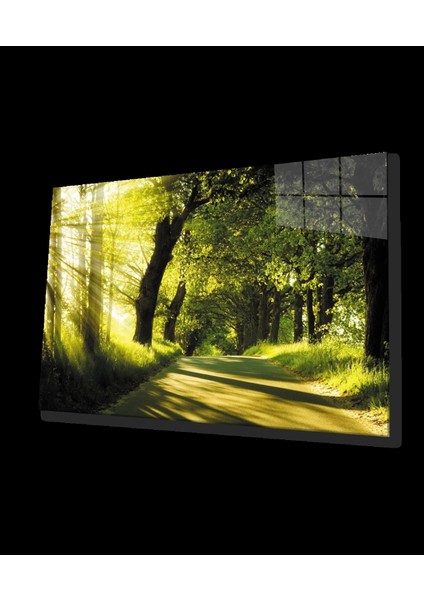 - Gün Batımı Orman Manzara Yeşil Cam Tablo