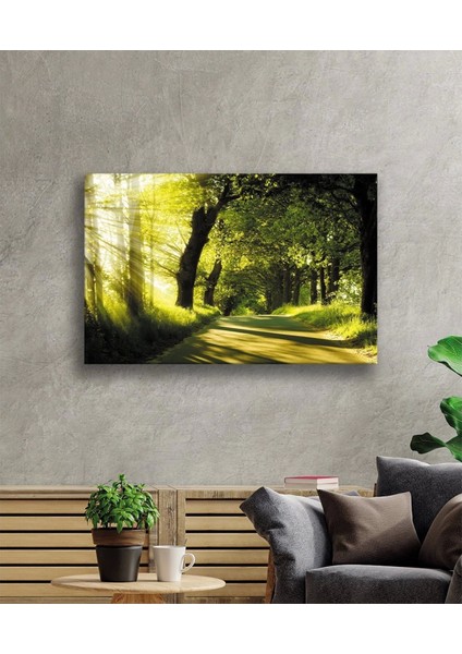 - Gün Batımı Orman Manzara Yeşil Cam Tablo fiyatları