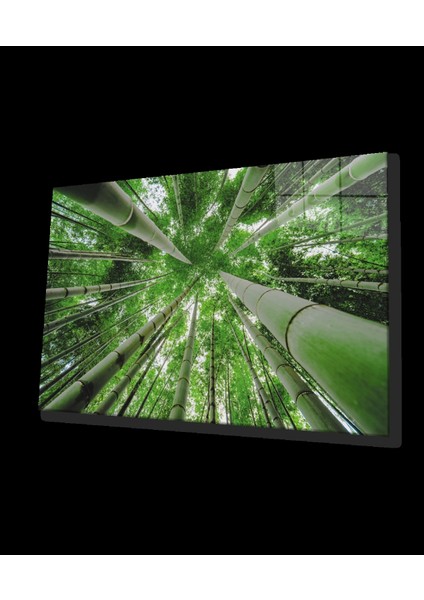 - Aşağıdan Yukarı Orman Yeşil Cam Tablo