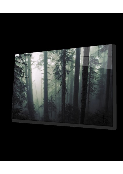 - Aşağıdan Yukarı Orman Yeşil Cam Tablo