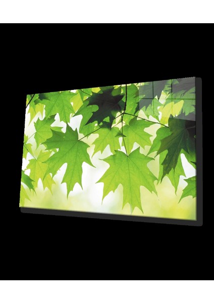 - Yeşil Yapraklar Cam Tablo Green Leaves
