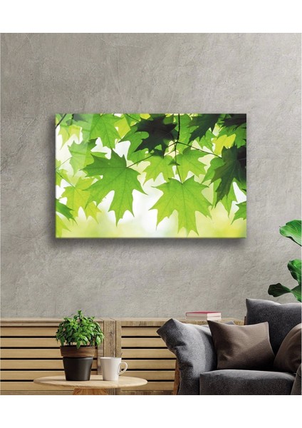 - Yeşil Yapraklar Cam Tablo Green Leaves fiyatları