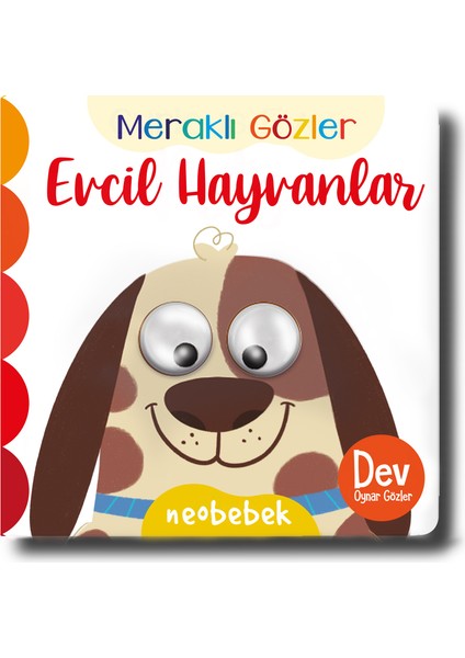 Meraklı Gözler Evcil Hayvanlar