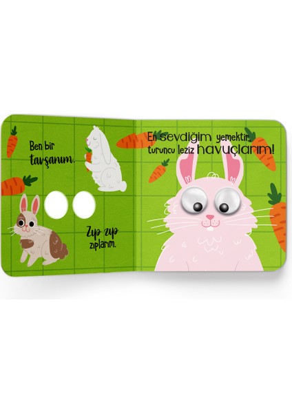 Meraklı Gözler Evcil Hayvanlar fiyatları