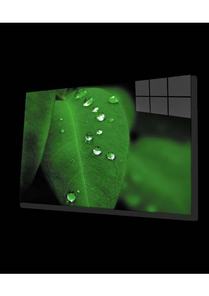 - Su Damlaları Yeşil Yaprak Cam Tablo