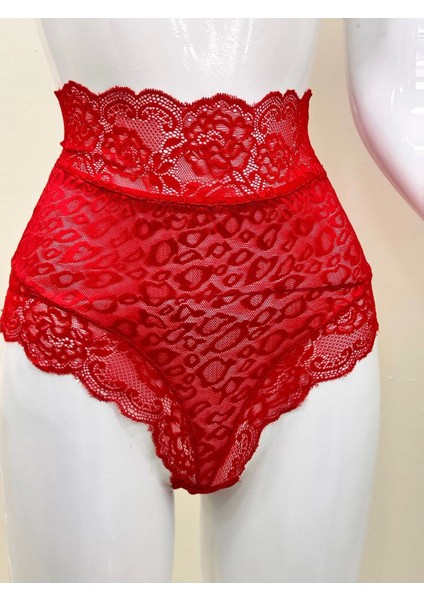 Kırmızı Dantelli Yüksek Bel Külot VENÜS-K1011 fiyatları