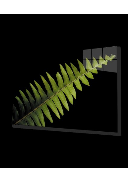 - Aşk Merdiveni Çiçeği Yeşil Bitki