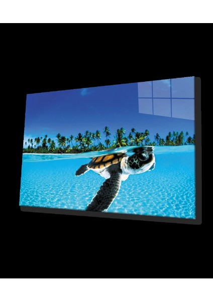 - Su Kaplumbağası Cam Tablo