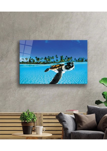 - Su Kaplumbağası Cam Tablo fiyatları