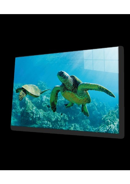 - Deniz Kaplumbağası Cam Tablo Sea Turtle