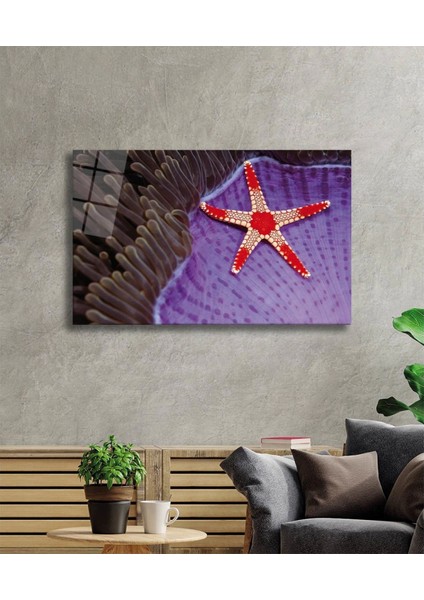 - Deniz Yıldızı Cam Tablo Starfish fiyatları
