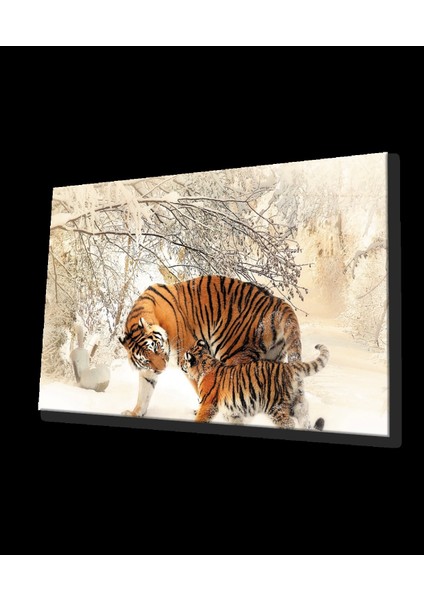 - Kar Manzara Leopar Cam Tablo