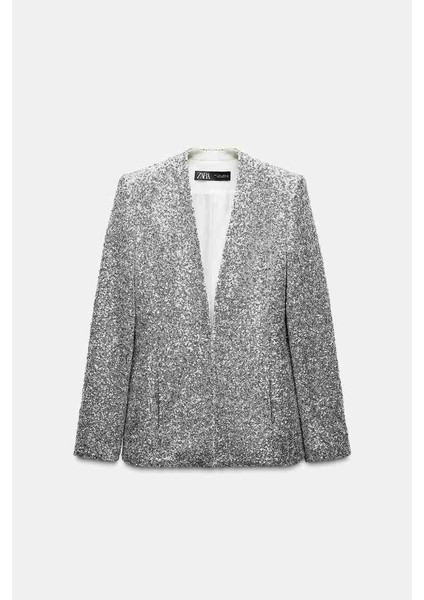 Allbucks Zara, Gümüş Payetli Blazer Ceket ABZRA1002