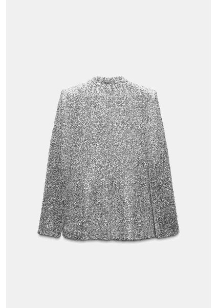 Allbucks Zara, Gümüş Payetli Blazer Ceket ABZRA1002
