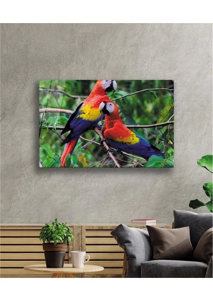 - Papağan Cam Tablo fiyatları