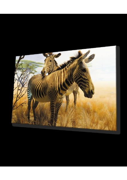 - Zebra Hayvan Cam Tablo