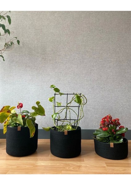 3'lü Saksılık, Saksı Kılıfı, Saksı Sepeti, Çiçeklik