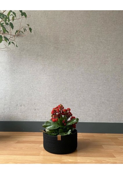 3'lü Saksılık, Saksı Kılıfı, Saksı Sepeti, Çiçeklik fırsatları