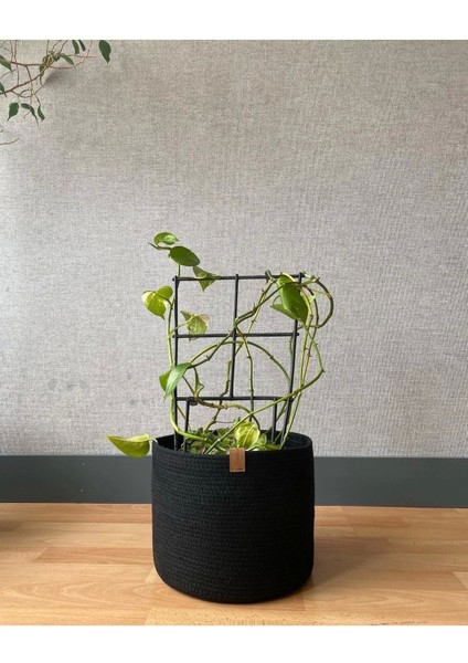 Orta Boy Saksılık, Saksı Kılıfı, Saksı Sepeti, Çiçeklik