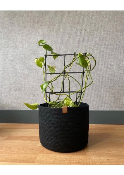 Orta Boy Saksılık, Saksı Kılıfı, Saksı Sepeti, Çiçeklik fiyatları