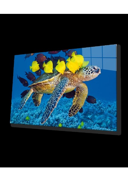 - Deniz Kaplumbağası ve Balıklar Cam Tablo