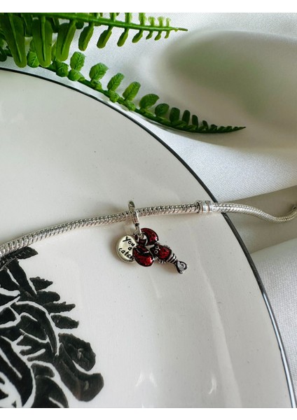 Gümüş S925 Damgalı Istakoz Sallantılı Charm